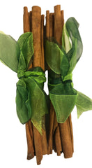 Cinnamon sticks with green ribbons on a white background