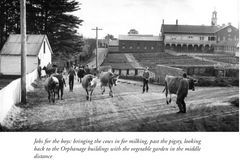 AN Orphan's Escape, Memories of a lost childhood   by Frank Golding