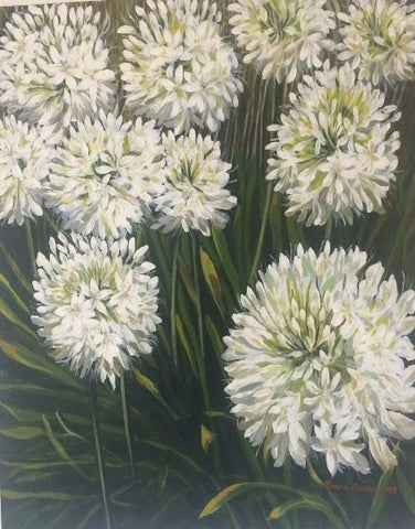 White Agapanthus   Elizabeth Moore Golding original artwork