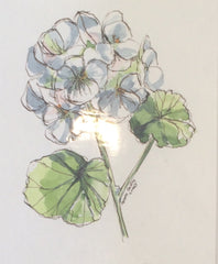 Pen & Wash  Elizabeth Moore Golding original artwork