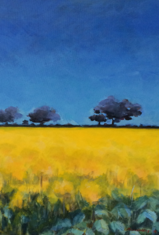 CANOLA GRAMPIANS acrylic on canvas Liz Moore Golding 60cm x 91cm