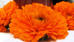 Calendula Cream 100g run-on stock (2 jars available at this price)