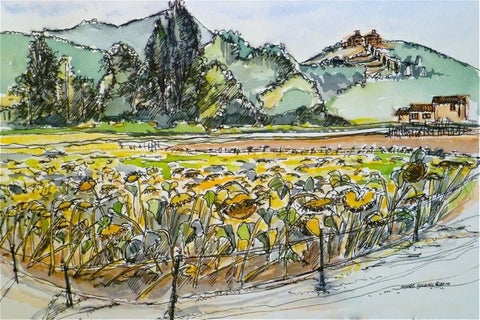 Sunflowers, Anghiari, Tuscany. 2010  Elizabeth Moore Golding Original Artwork