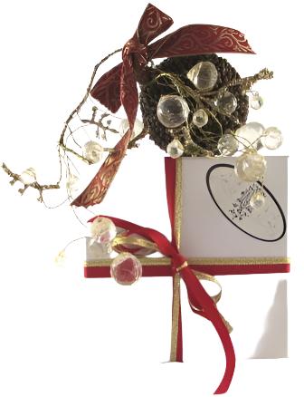 Clove Bud Christmas Spice Pomander with Oil 10ml - Gift Boxed