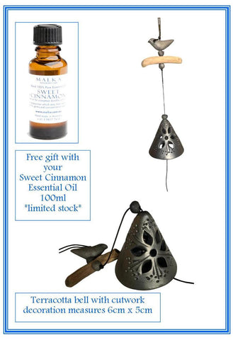 Sweet Cinnamon 100% Pure Essential Oil Blend 100ml & FREE GIFT - Charcoal bell with cutwork design, 1 available