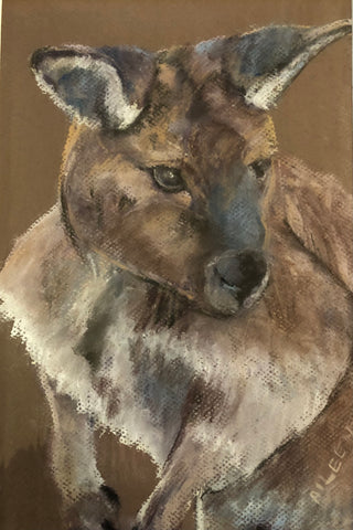 ‘Kangaroo’ Aileen Stinten original artwork