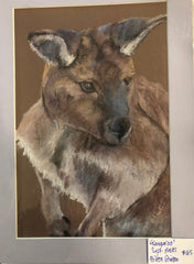 ‘Kangaroo’ Aileen Stinten original artwork