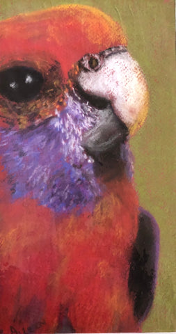 ‘Crimson Rosella’ Aileen Stinten original artwork