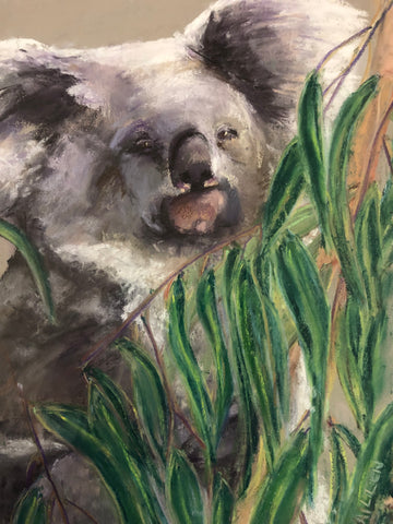 ‘Koala’ Aileen Stinten original artwork