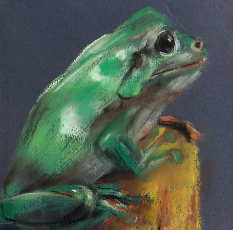 ‘Green Tree Frog’ Aileen Stinten original artwork