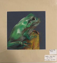 ‘Green Tree Frog’ Aileen Stinten original artwork