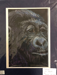 ‘Gorilla’ Aileen Stinten original artwork