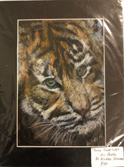 ‘Young Tiger Cub’ Aileen Stinten original artwork