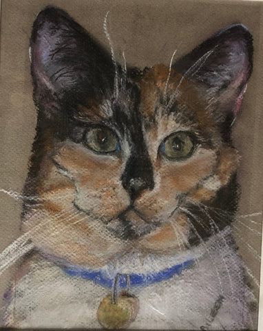 ‘Cat portrait‘ Aileen Stinten original artwork