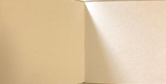 Bird Orange note card (textured paper & envelope)