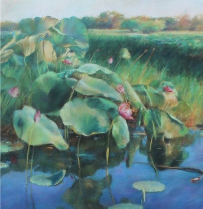 Lotus lilies, NT, Janet Hayes