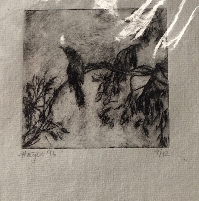 Currawongs, Chum Creek  Acetate etching 7/12, Janet Hayes