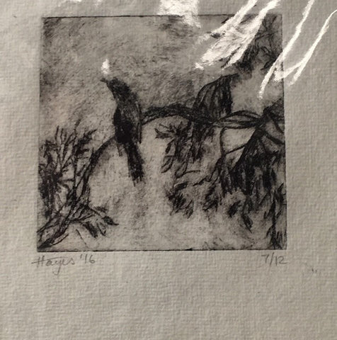 Currawongs, Chum Creek  Acetate etching 7/12, Janet Hayes